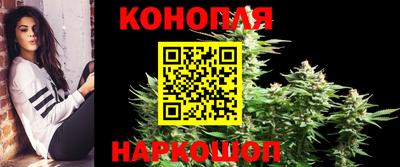 МДПВ Донецк