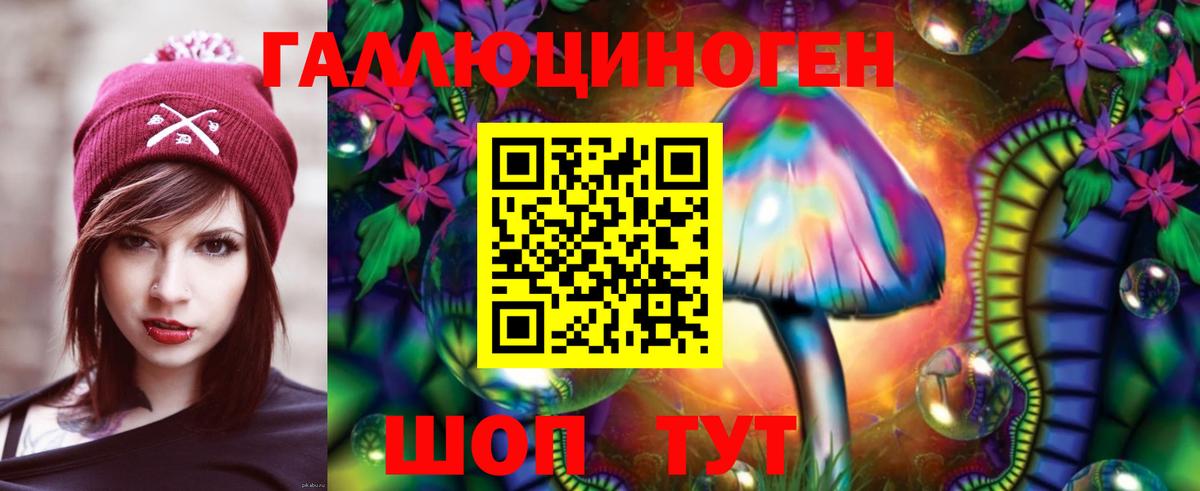 Псилоцибиновые грибы Psilocybe Калач-на-Дону
