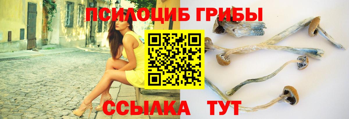 Калач-на-Дону  Псилоцибиновые грибы мухоморы  Галлюциногенные грибы мухоморы  Вход с VPN 
